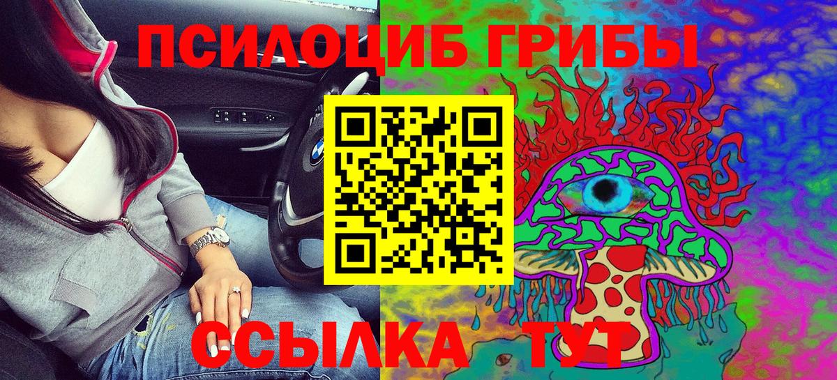 Псилоцибиновые грибы Psilocybine cubensis  наркошоп  Саранск  Вход с VPN 